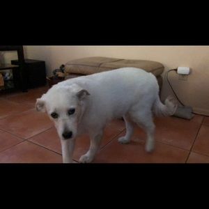 Meet your Posher, Linda